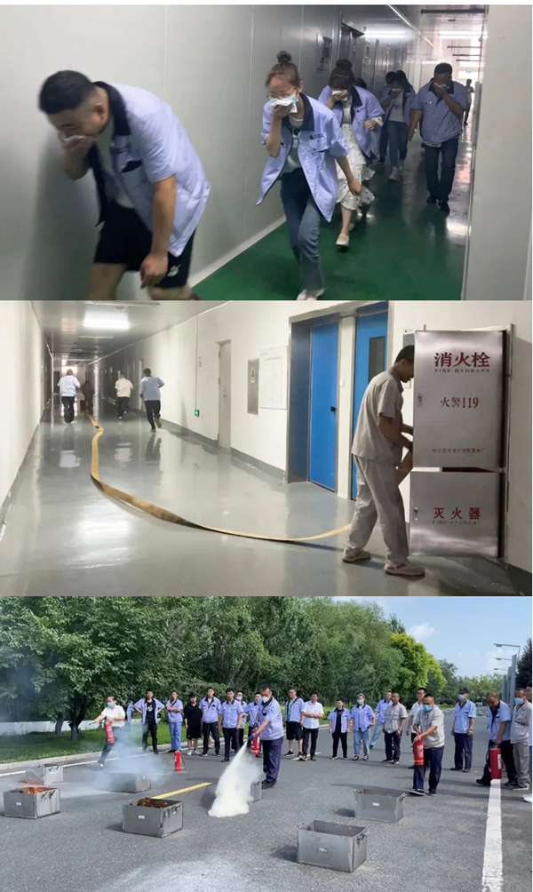 首页-BB贝博艾弗森公司官网