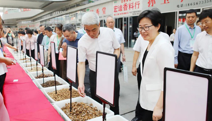 首页-BB贝博艾弗森公司官网