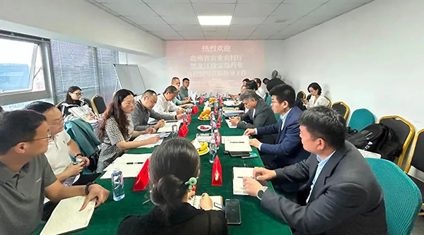 首页-BB贝博艾弗森公司官网