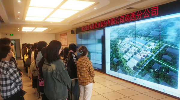 首页-BB贝博艾弗森公司官网