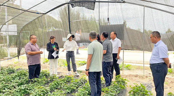 首页-BB贝博艾弗森公司官网